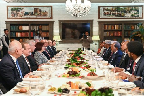 Milli Məclisin sədri və Somali Prezidenti birgə işçi nahar ediblər