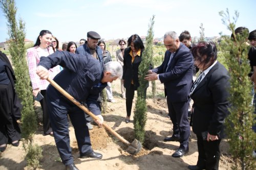 ADPU-nun təşəbbüsü ilə ağacəkmə aksiyası keçirilib