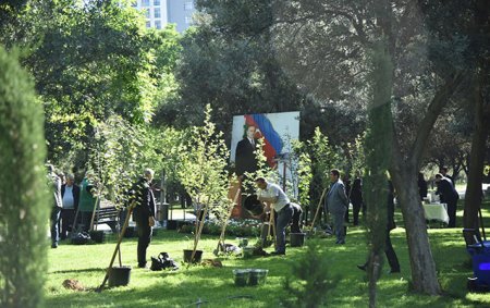 Nəsimidə ağacəkmə aksiyası keçirildi - Fotolar