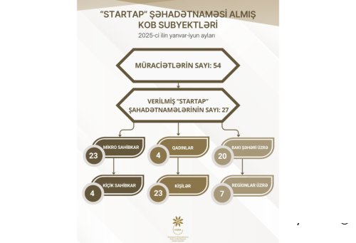 Bu il “Startap” şəhadətnaməsi almış KOB subyektlərinin əksəriyyəti mikro sahibkarlardır