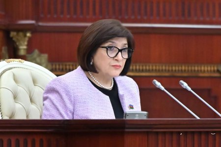 Milli Məclisin plenar iclasında