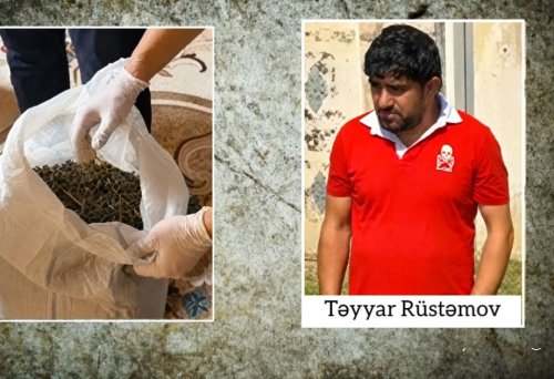 Ağcabədidə çətənə kolları və 7 kiloqramdan artıq marixuana aşkarlanıb