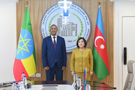Sahibə Qafarova Efiopiya Federasiya Palatasının sədri ilə görüşüb